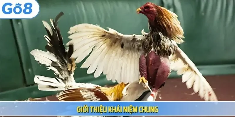 Giới thiệu khái niệm chung