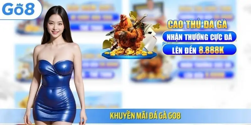 Khuyến mãi đá gà Go8